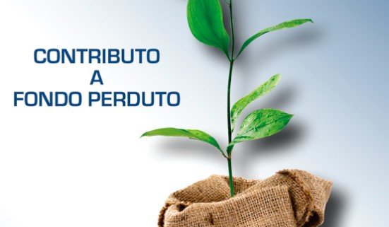 Foto news 480
